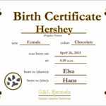 12 Birth Certificate Template | Radaircars Pertaining To Fake Birth Certificate Template