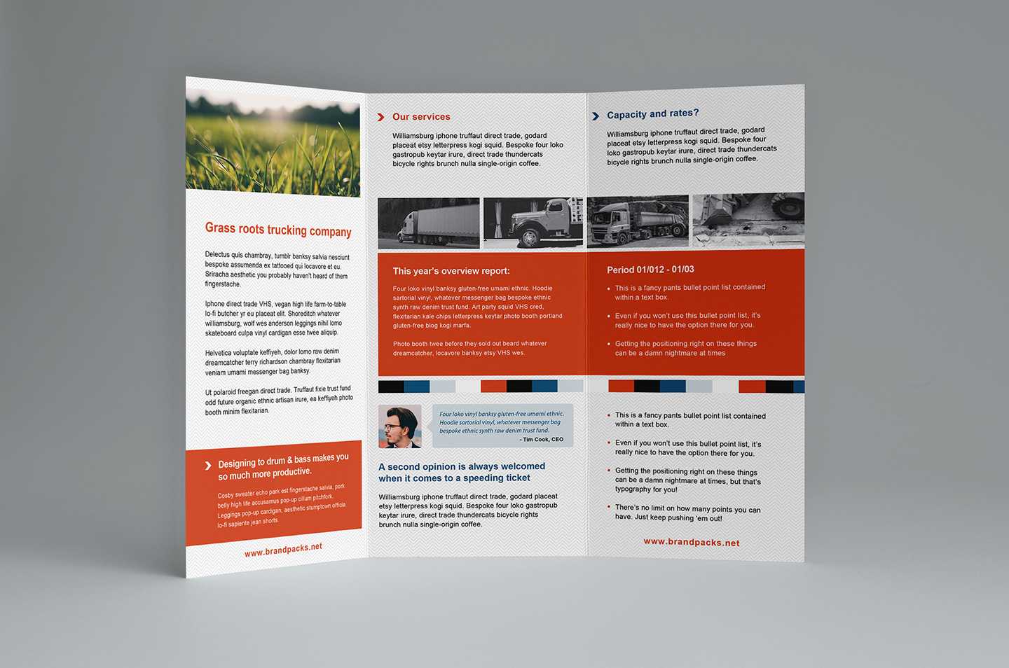 12 Free Tri Fold Brochure Template | Radaircars In Free Three Fold Brochure Template