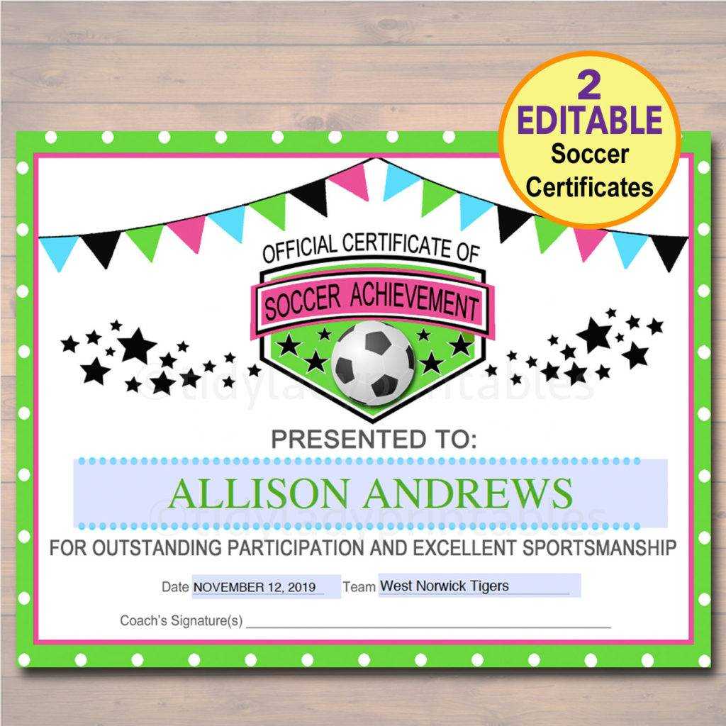 13+ Soccer Award Certificate Examples – Pdf, Psd, Ai For Soccer Award Certificate Template