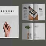 25+ Best Indesign Brochure Templates | Design Shack Pertaining To 12 Page Brochure Template