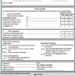37 Blank Death Certificate Templates [100% Free] ᐅ Templatelab Inside Fake Death Certificate Template