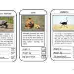 Animal Top Trumps Game – English Esl Powerpoints For With Top Trump Card Template