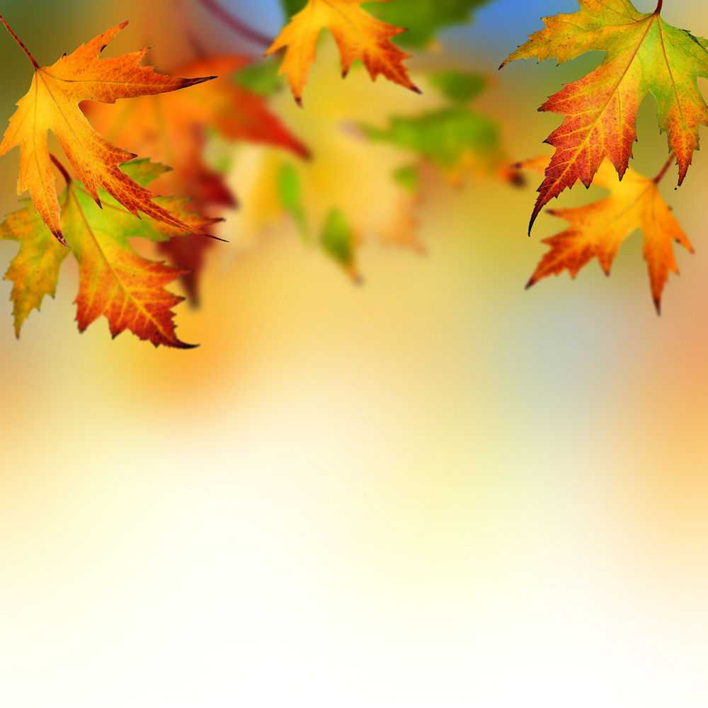 Autumn Leaves Background For Powerpoint – Flower Ppt Templates For Free Fall Powerpoint Templates