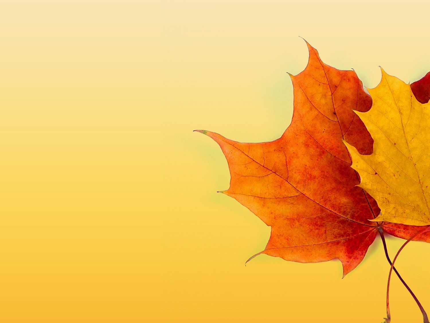 Fall Themed Powerpoint Templates Free