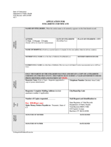 Baby Death Certificate Template - Fill Online, Printable with regard to Baby Death Certificate Template