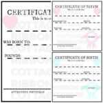 Baby Doll Printable Birth Certificates  Pink And Blue Inside Baby Doll Birth Certificate Template