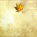 Best 54+ Fall Leaves Powerpoint Background On Hipwallpaper For Free Fall Powerpoint Templates