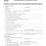 Bi 529 Form – Fill Online, Printable, Fillable, Blank Intended For South African Birth Certificate Template