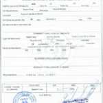 Birth Certificate Bolivia In Marriage Certificate Translation From Spanish To English Template