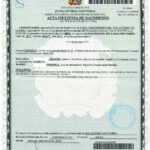 Birth Certificate Dominican Republic Within Birth Certificate Translation Template