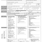 Birth Certificate Maker – Fill Online, Printable, Fillable Inside Fake Birth Certificate Template