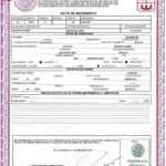 Birth Certificate Mexico Regarding Mexican Marriage Certificate Translation Template