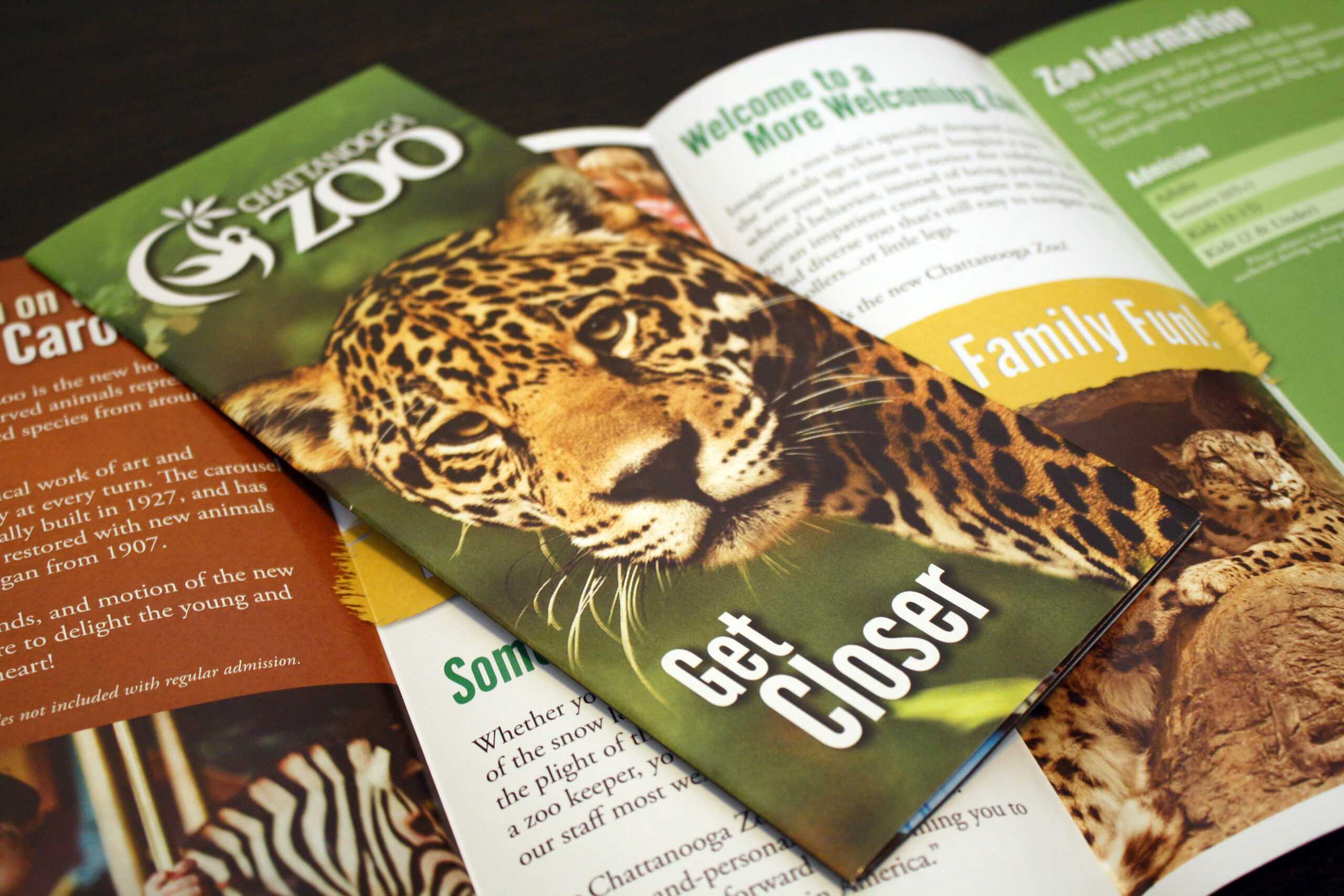 Brochure Design | Manning Design Intended For Zoo Brochure Template