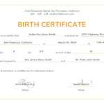 Can Make A Delivery Certificate Crucial | Gift Certificate Regarding Official Birth Certificate Template