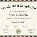 Certificate Of Completion Template Intended For Certification Of Completion Template