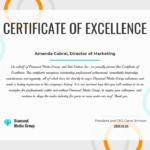 Certificate Of Excellence Inside Volunteer Certificate Templates