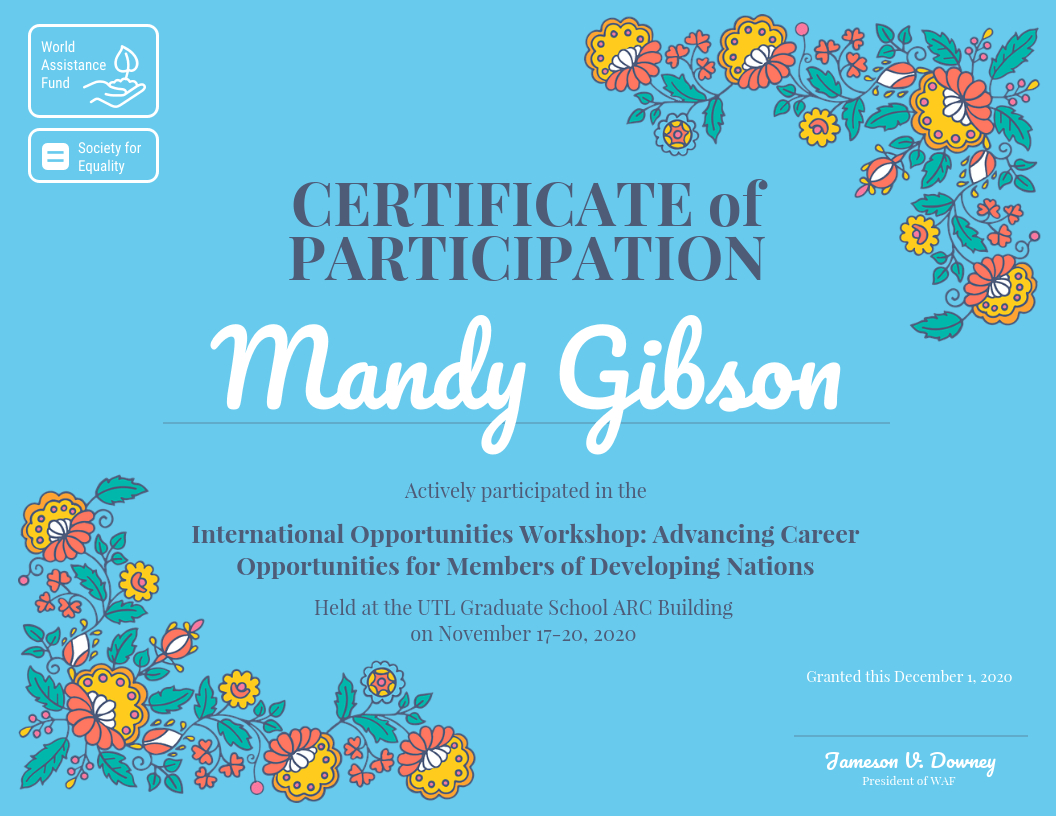 Certificate Of Participation With Regard To Certificate Of Participation In Workshop Template