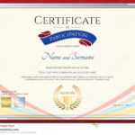 Certificate Template For Achievement, Appreciation Or In International Conference Certificate Templates