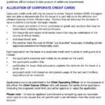 Corporate Credit Card Policy & Guidelines – Pdf Free Download For Corporate Credit Card Agreement Template