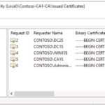 Глава 4. Сертификаты В Windows Server 2016 – Windows Server In Domain Controller Certificate Template