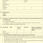Dentity, Rabies Vaccination And Movement Certificate For Inside Dog Vaccination Certificate Template