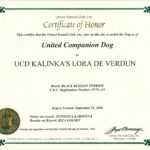 Dog Obedience Certificate Printable, Retractable Dog Leashes Regarding Service Dog Certificate Template
