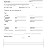 Dog Shot Record Template – Fill Online, Printable, Fillable For Rabies Vaccine Certificate Template