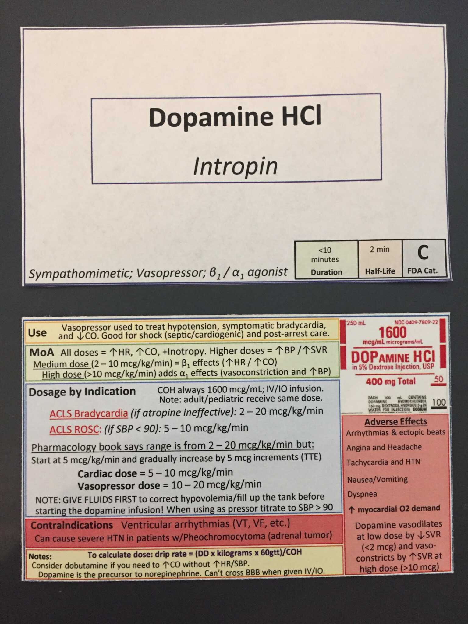 Printable Pharmacology Drug Card Template Customize And Print