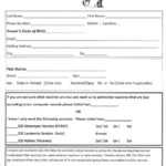 E0066 Dog Vaccination Record Template | Wiring Resources With Dog Vaccination Certificate Template