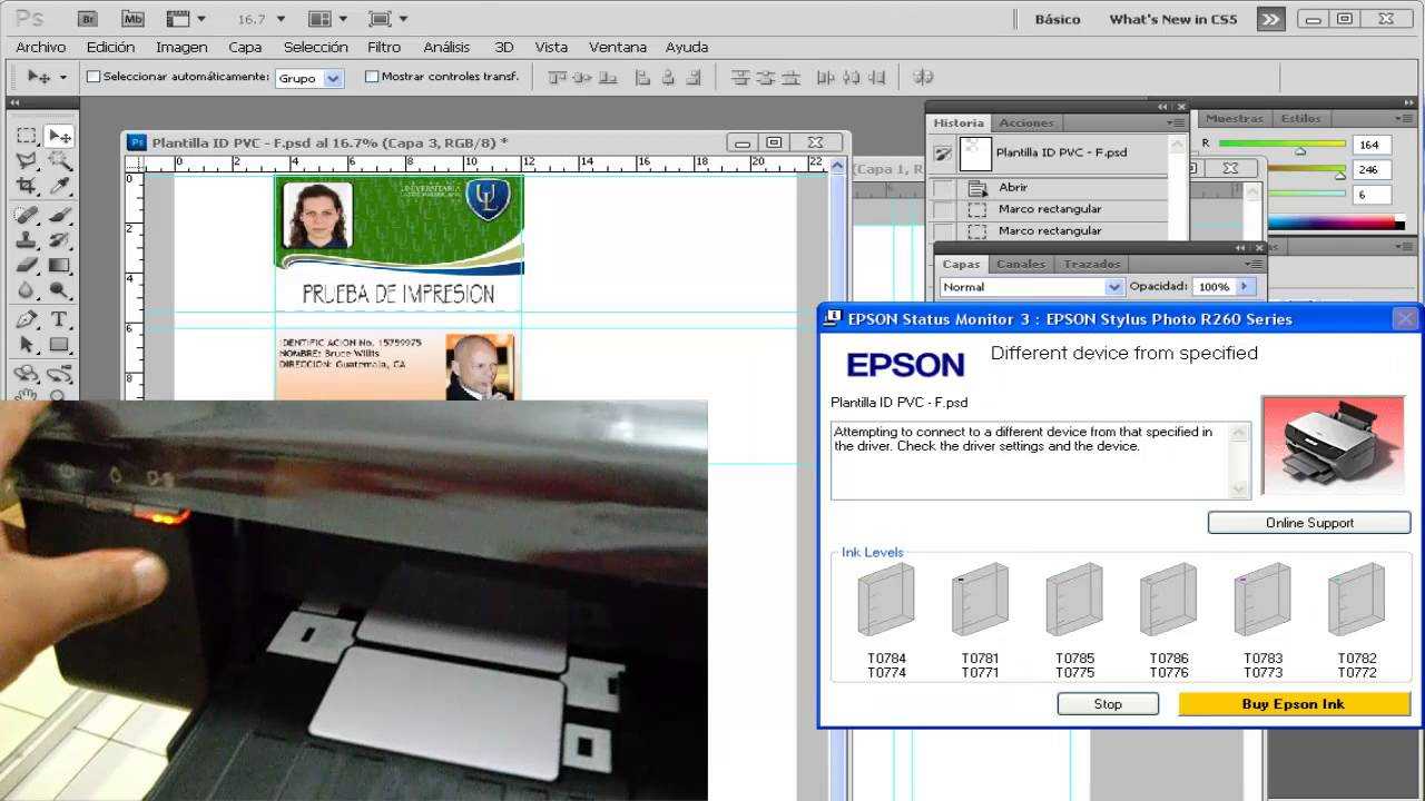 Epson T60 Pvc Id Template – Pickopen's Diary Pertaining To Pvc Id Card Template