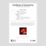 Extreme Velocity Regarding Photography Certificate Of Authenticity Template