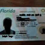Florida Fake Id · 😇 Best Scannable Fake Ids From Idgod Within Florida Id Card Template