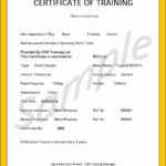 Forklift Operator Card Template – Carlynstudio Within Forklift Certification Card Template