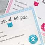 Free Printable Cat Adoption Kit | Chickabug Inside Pet Adoption Certificate Template