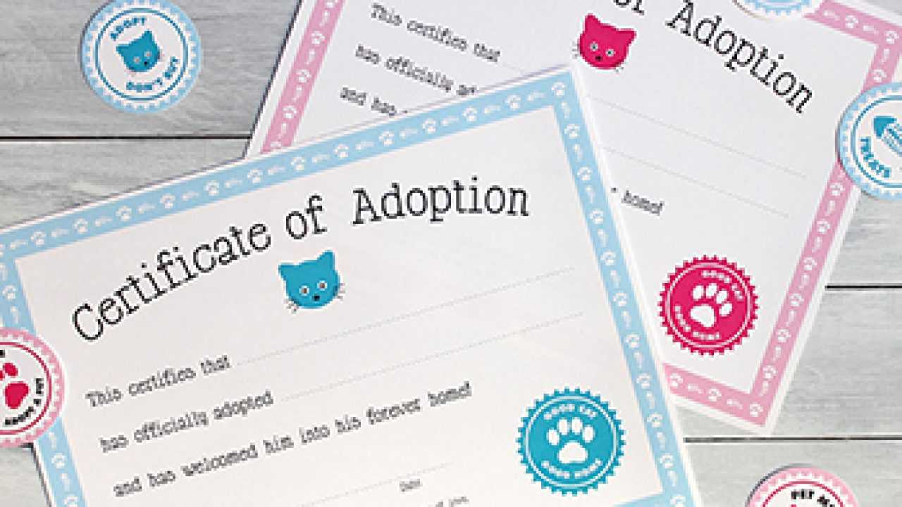 Free Printable Cat Adoption Kit | Chickabug Within Toy Adoption Certificate Template