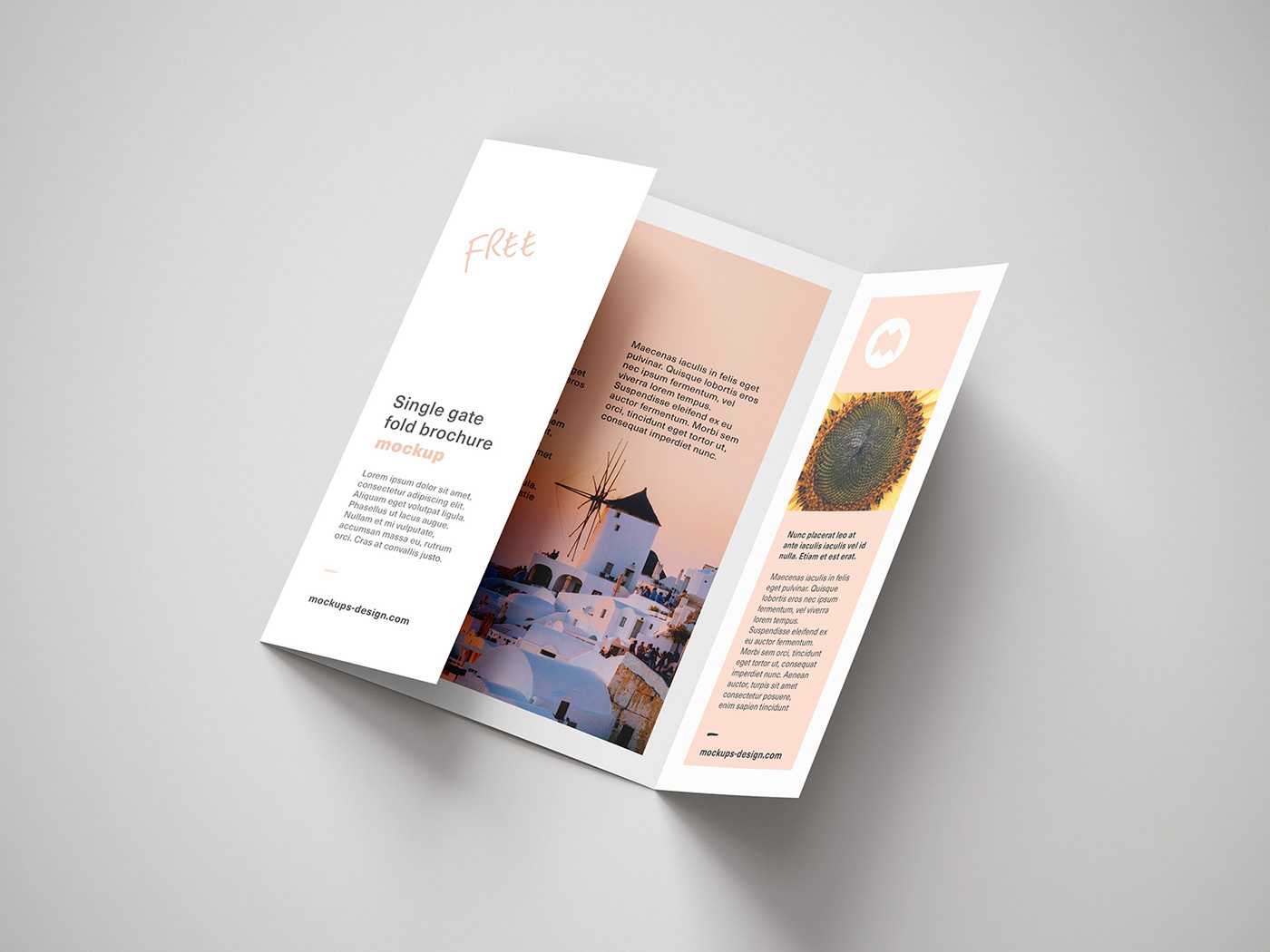 Gate Fold Brochure – Tomope.zaribanks.co Intended For Gate Fold Brochure Template Indesign