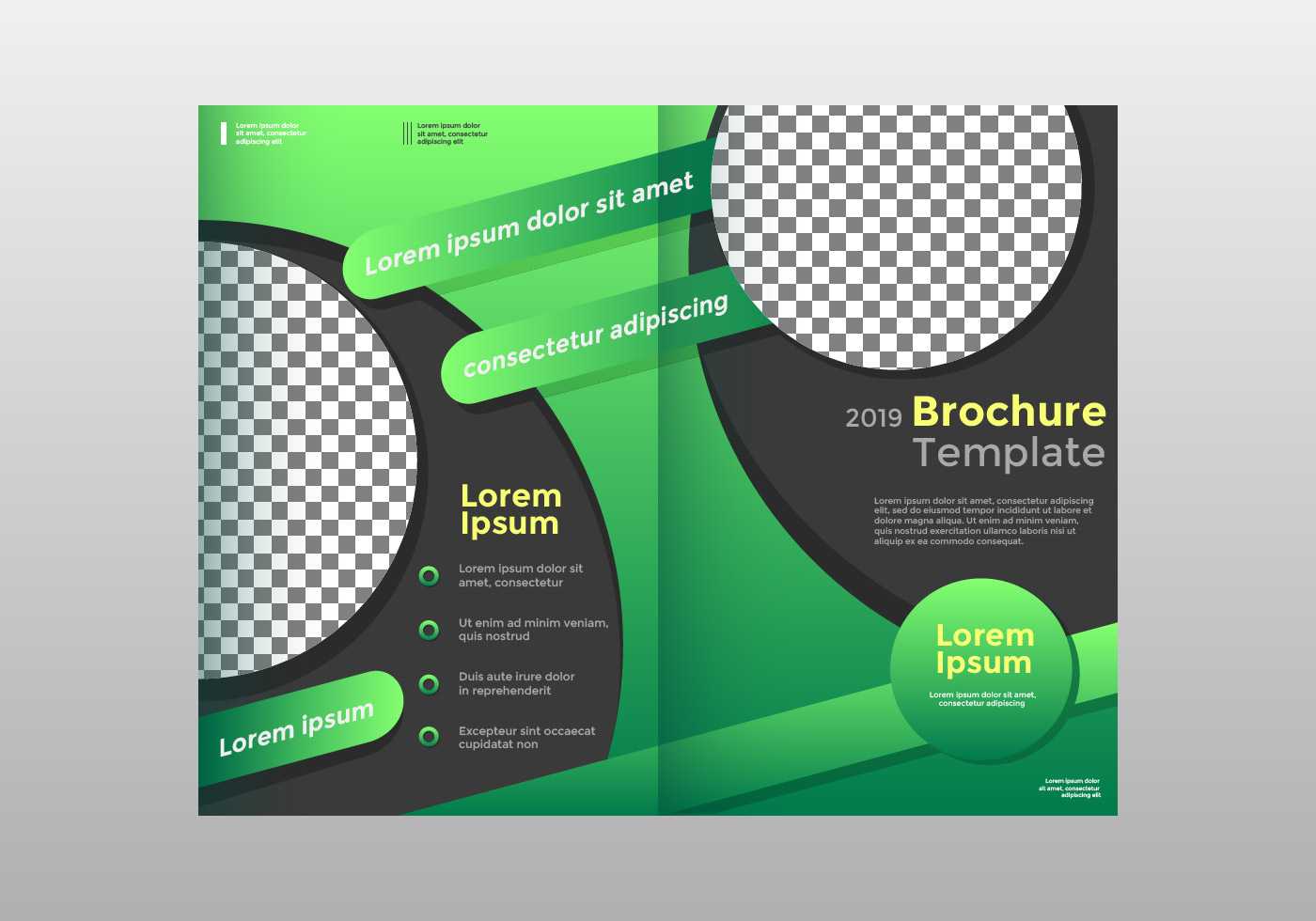 Half Fold Brochure Template Vector - Download Free Vectors With Half Page Brochure Template