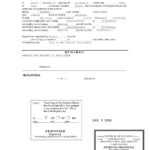 How To Translate A Mexican Birth Certificate To English In Mexican Birth Certificate Translation Template