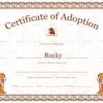 Kitten Adoption Certificate Inside Pet Adoption Certificate Template