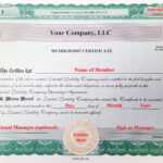 Laughlin Associates Inc. | Setting Up Your Corporate Kit Inside Llc Membership Certificate Template