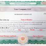 Llc Membership Certificates Templates – Tomope.zaribanks.co Regarding Llc Membership Certificate Template Word