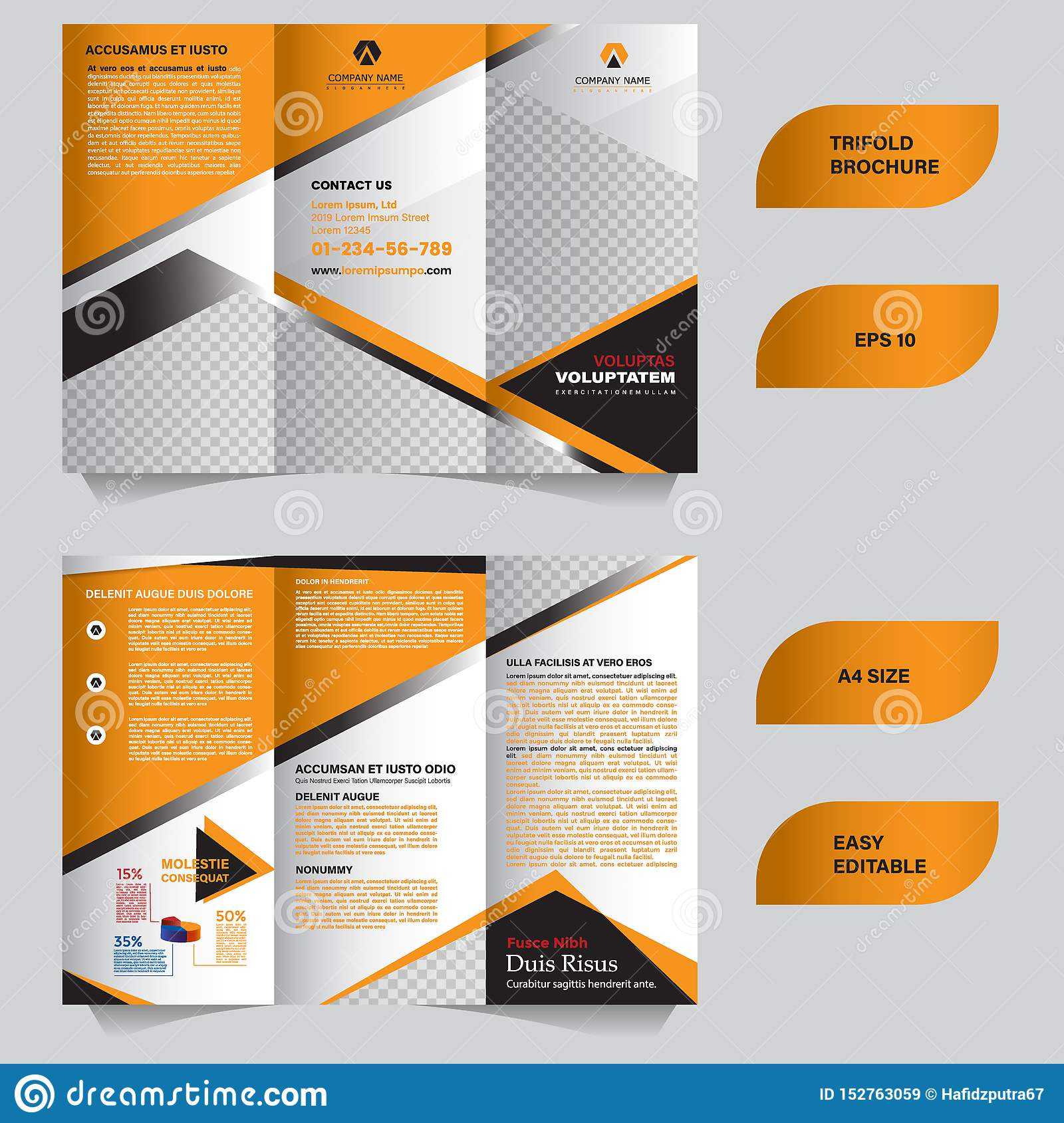 Modern Trifold Brochure Template With Flat And Elegant Intended For Tri Fold Brochure Template Illustrator Free