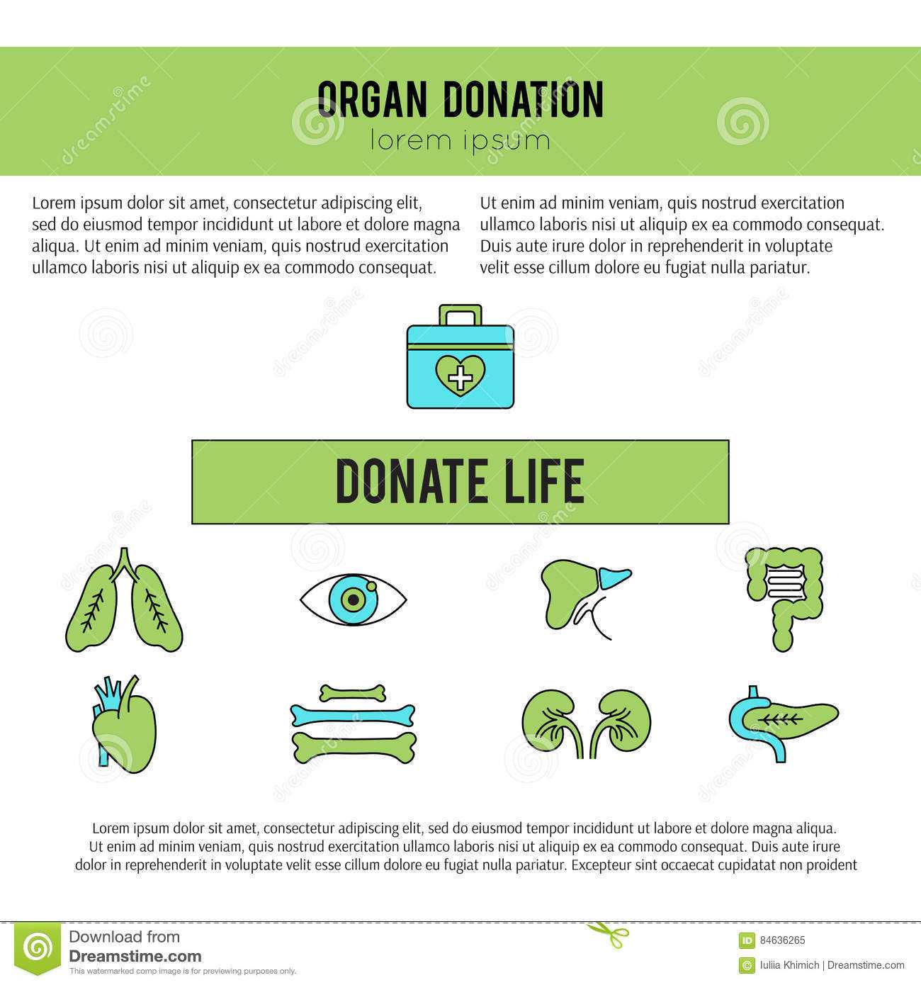Organ Donation Template Stock Vector. Illustration Of Cornea Intended For Organ Donor Card Template