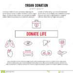Organ Donation Template Stock Vector. Illustration Of Design With Regard To Donation Cards Template