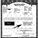 Plated Ktm | Licensing Express For Certificate Of Origin For A Vehicle Template