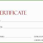 Printable Salon Gift Certificate Templates – Template 2 Inside Salon Gift Certificate Template