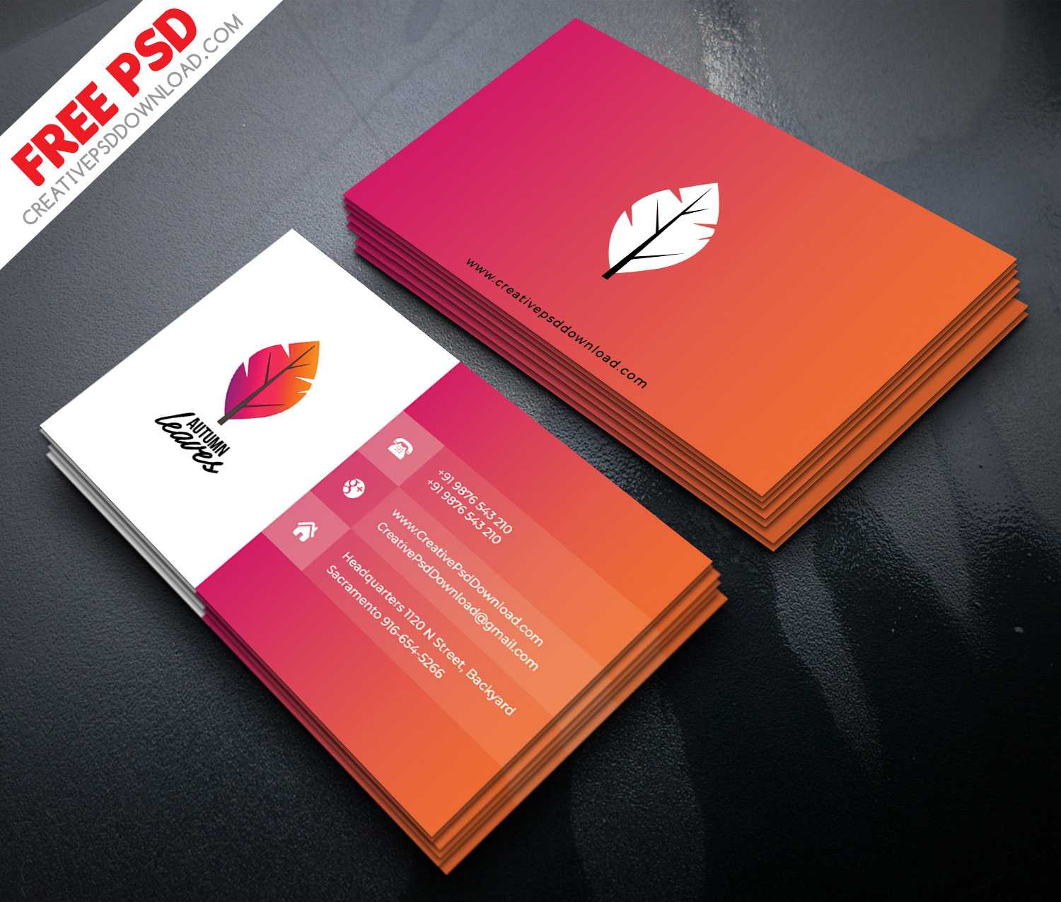 Professional Business Card Psd Free Download Inside Visiting Card Template Psd Free Download