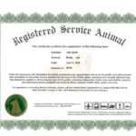 Service Dog Certification Papers – Goldenacresdogs Inside Service Dog Certificate Template
