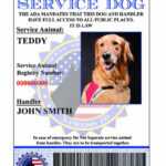Service Dog Id | Custom & Holographic Within Service Dog Certificate Template