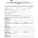 South Africa Format – Fill Online, Printable, Fillable Regarding South African Birth Certificate Template